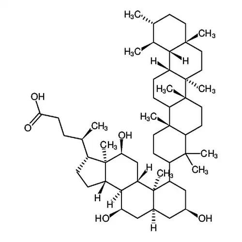 熊硫胆酸