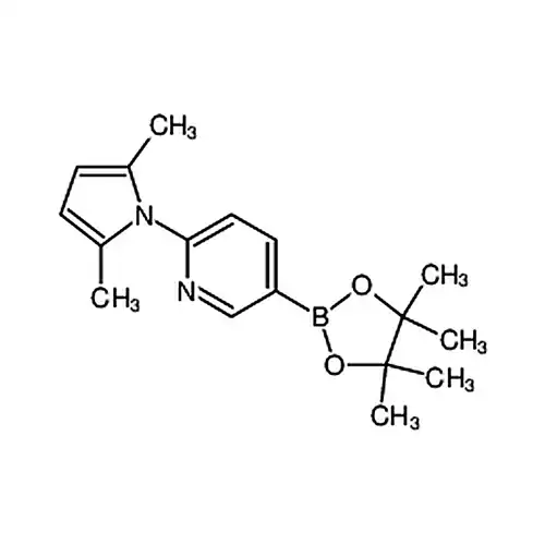 2-(2，5-二甲基-1H-吡咯-1-基)-5-硼酸频哪醇酯吡啶