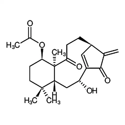 Kongensin A