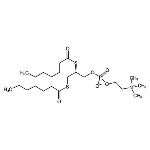 1，2-bis(heptanoylthio) Glycerophosphocholine