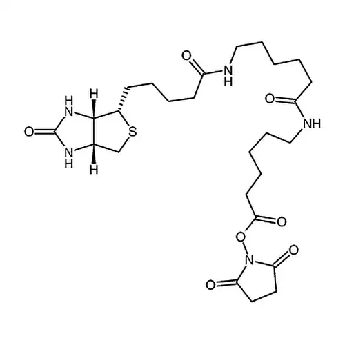 N -[6-(生物素氨基)己酰基]-6-氨基己酸N-琥珀酰亚胺酯