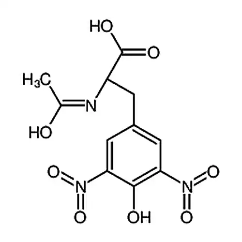 乙酰辅酶A合成酶