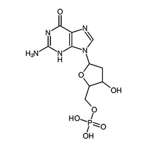 2′-脱氧鸟苷-13C10，15N55′-单磷酸 钠盐