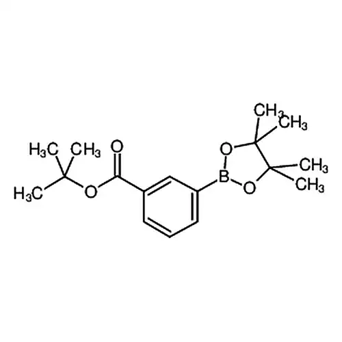 3-(4，4，5，5-四甲基-1，3，2-二氧硼戊烷-2-基)苯甲酸叔丁酯