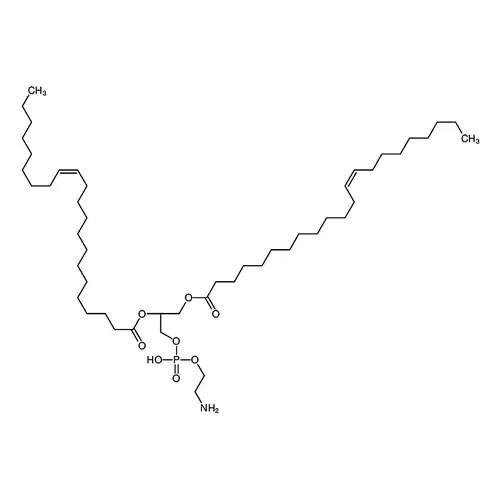 1，2-Dierucoyl-sn-glycero-3-phosphoethanolamine