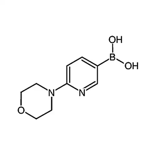 6-(4-吗啉基)-3-吡啶硼酸
