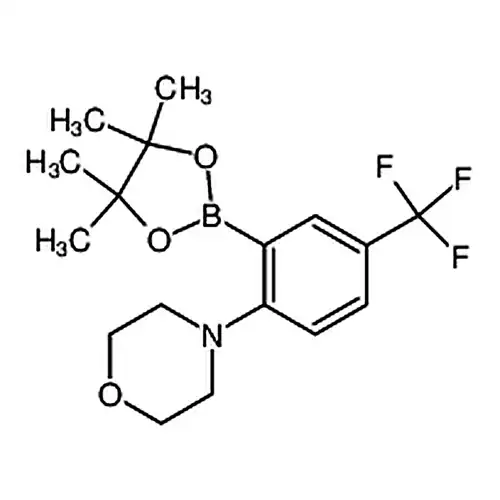 2-Morpholino-5-trifluoromethylphenylboronicacidpinacolester