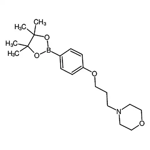 4-(3-吗啉丙氧基)苯基硼酸频哪醇酯