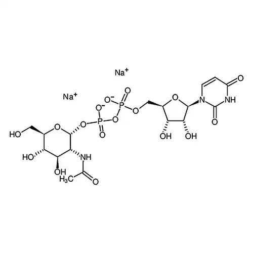 尿苷-5′-二磷酸-N-乙酰基-葡糖胺钠盐