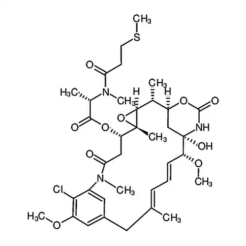 S-methyl DM1