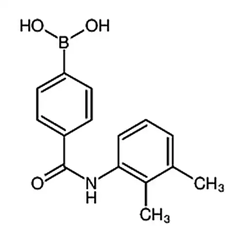 4-(2,3-二甲基苯基氨基甲酰基)苯基硼酸