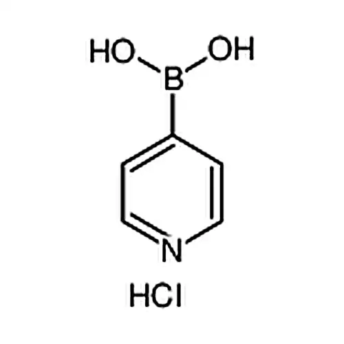 吡啶-4-基硼酸盐酸盐