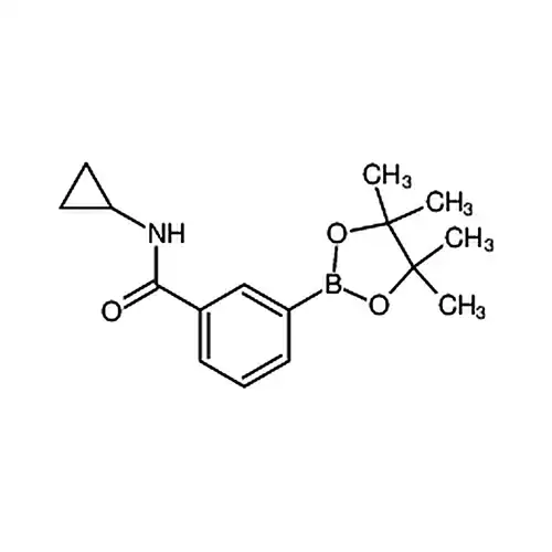 3-(N-氯丙氨基羰基)苯硼酸频那醇酯