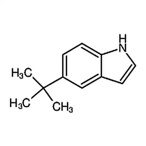 5-(叔丁基)-1H-吲哚