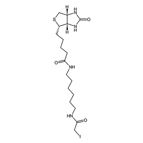 Iodoacetyl-LC-biotin