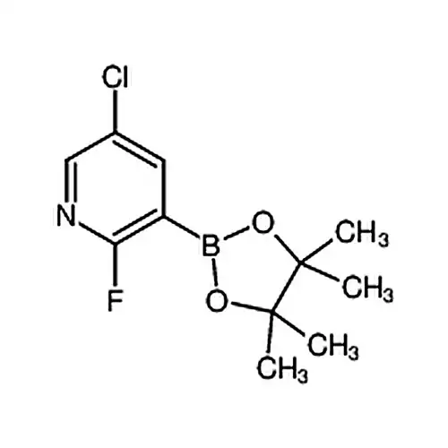 5-氯-2-氟-3-(4,4,5,5-四甲基-1,3,2-二氧硼杂环戊烷-2-基)吡啶