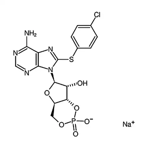 8-CPT-Cyclic AMP sodium salt