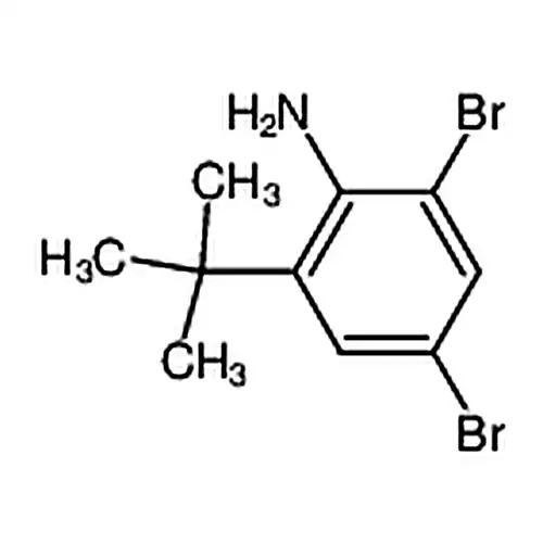 2,4-二溴-6-(叔丁基)苯胺