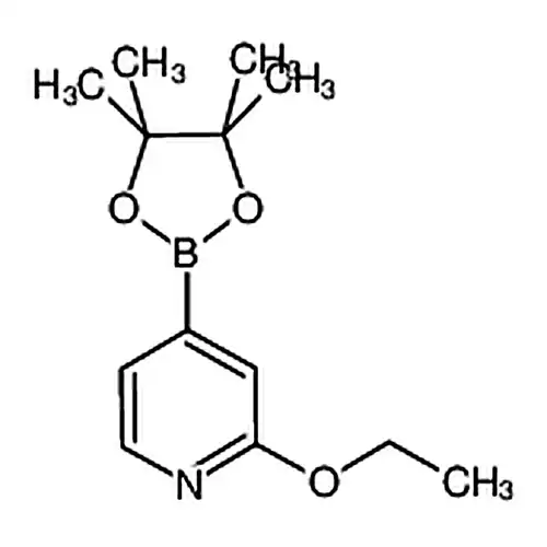 2-乙氧基-4-(4,4,5,5-四甲基-1,3,2-二氧硼杂环戊烷-2-基)吡啶