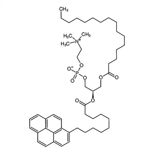 10-Pyrene-PC