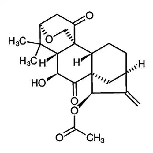 毛萼结晶甲