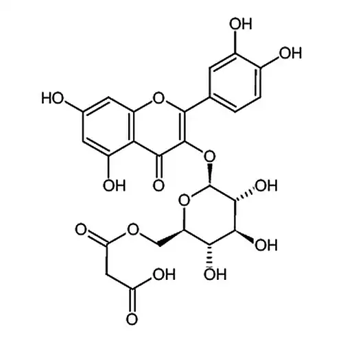 槲皮素3-O-丙二酰基葡萄糖苷