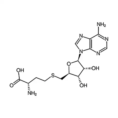 S-(5’-腺苷)-L-高半胱氨酸