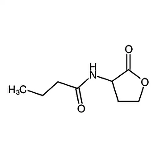 正丁酰基-DL-高丝氨酸内酯