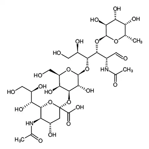 唾液酸化酶X