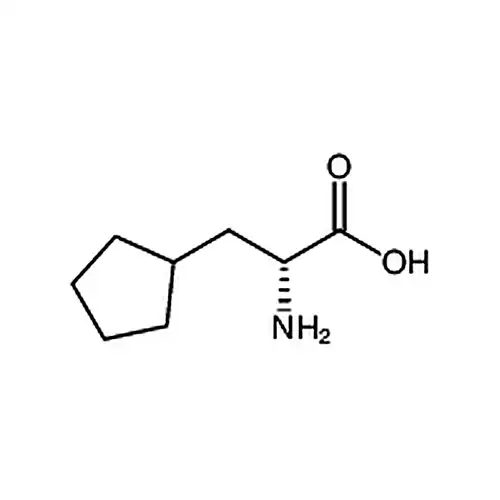 (R)-2-氨基-3-环戊基丙酸