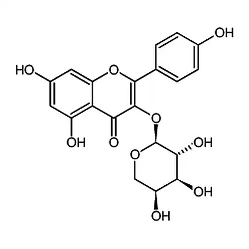 山奈酚-3-O-阿拉伯糖苷