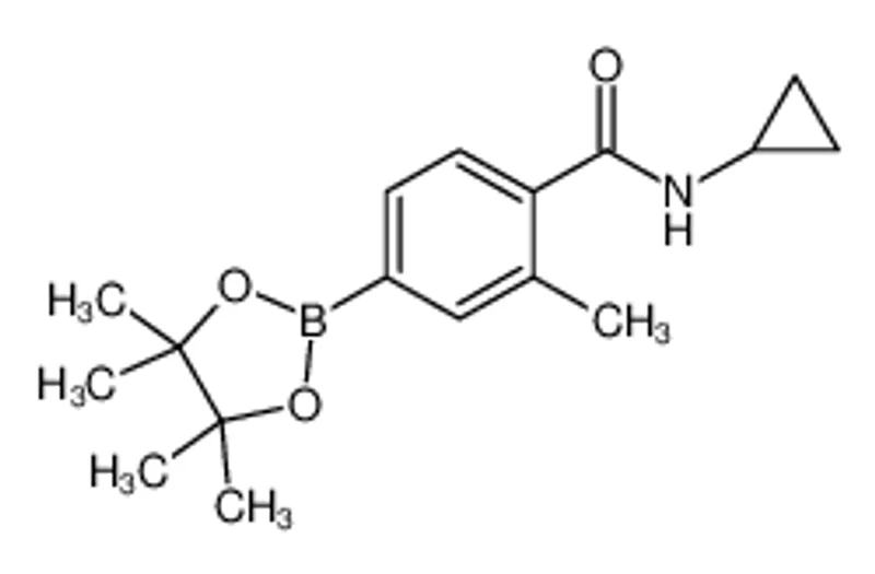 N-环丙基-2-甲基-4-(4，4，5，5-四甲基-1，3，2-二氧杂硼烷-2-基)苯甲酰胺