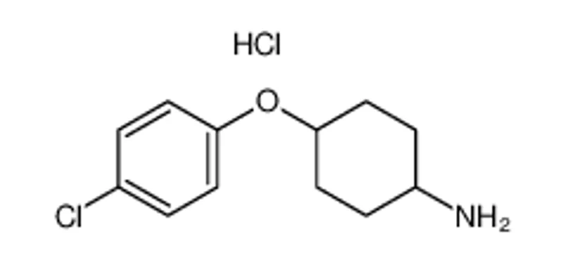 4 -(4-氯苯氧)环已胺盐酸盐
