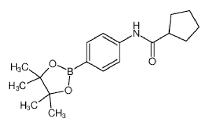 N-(4-(4，4，5，5-四甲基-1，3，2-二氧硼杂环戊烷-2-基)苯基)环戊烷甲酰胺
