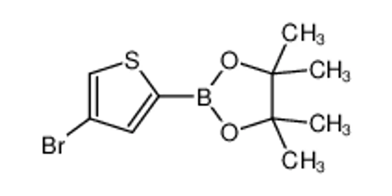 2-(4-溴噻吩-2-基)-4，4，5，5-四甲基-1，3，2-二恶硼烷