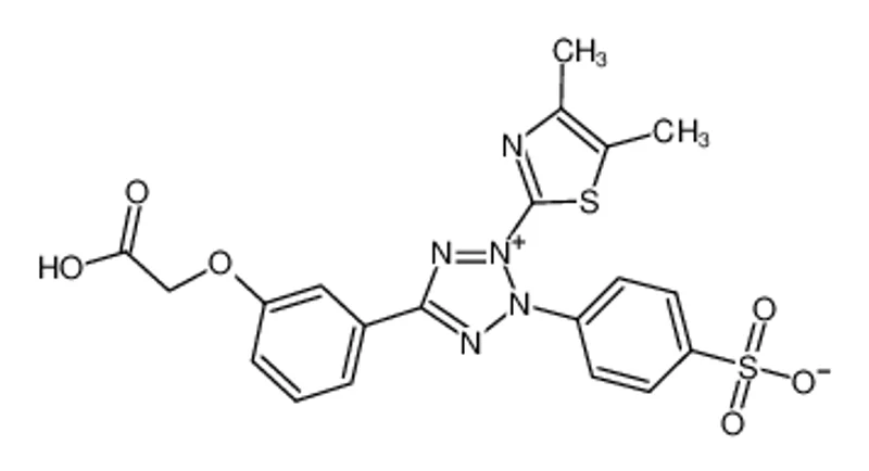 MTS试剂， cell proliferation assay reagent