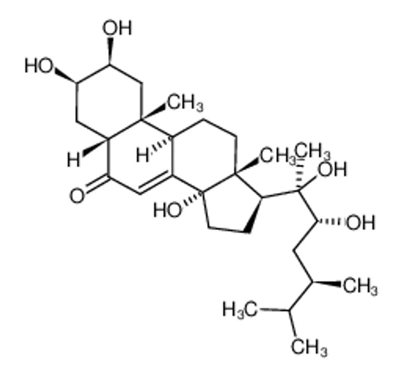 Makisterone A