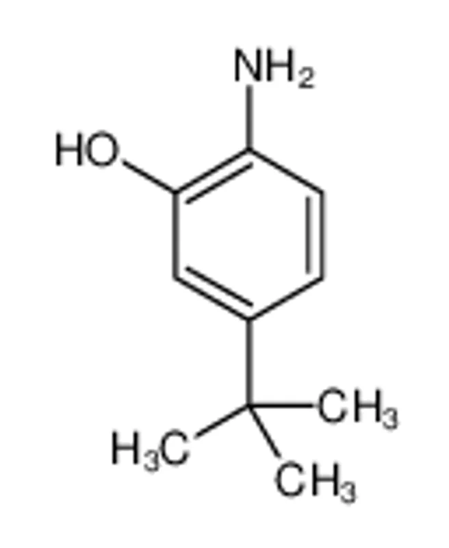 2-氨基-5-(叔丁基)苯酚