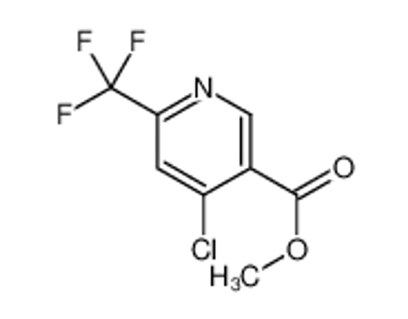4-氯-6-(三氟甲基)烟酸甲酯