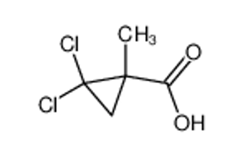 2,2-二氯-1-甲基环丙烷甲酸