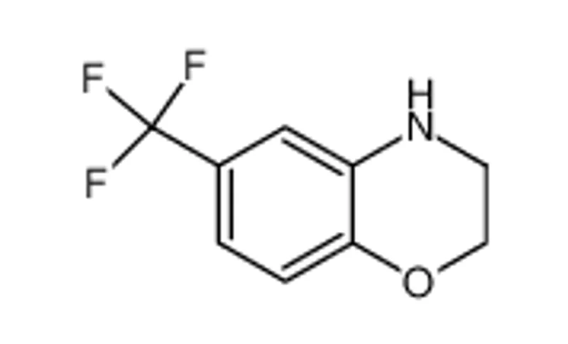 6-(三氟甲基)-3，4-二氢-2H-苯并[B][1，4]恶嗪