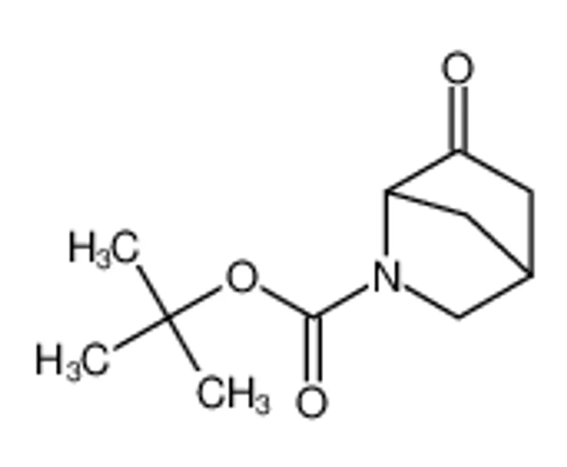 6-氧代-2-氮杂双环[2.2.1]庚烷-2-羧酸叔丁酯