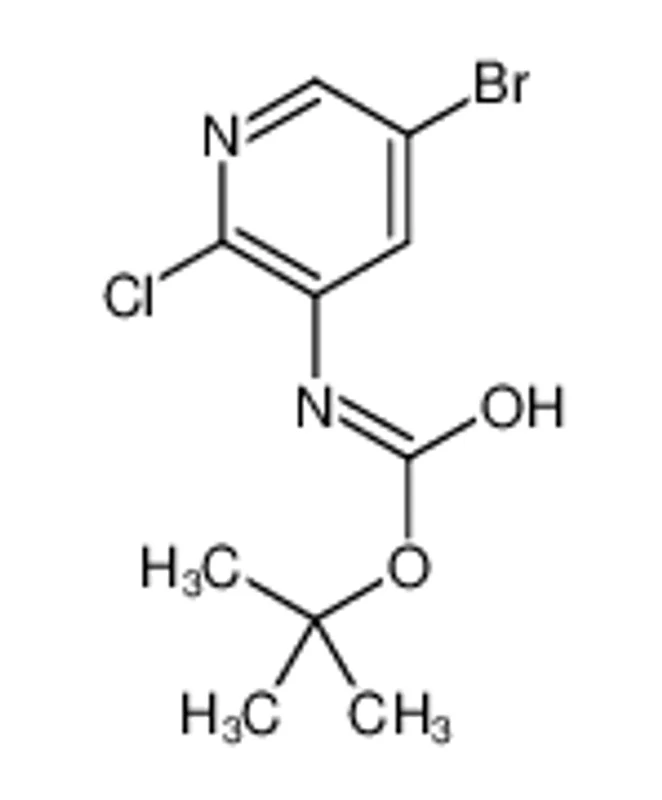 (5-溴-2-氯吡啶-3-基)氨基甲酸叔丁酯