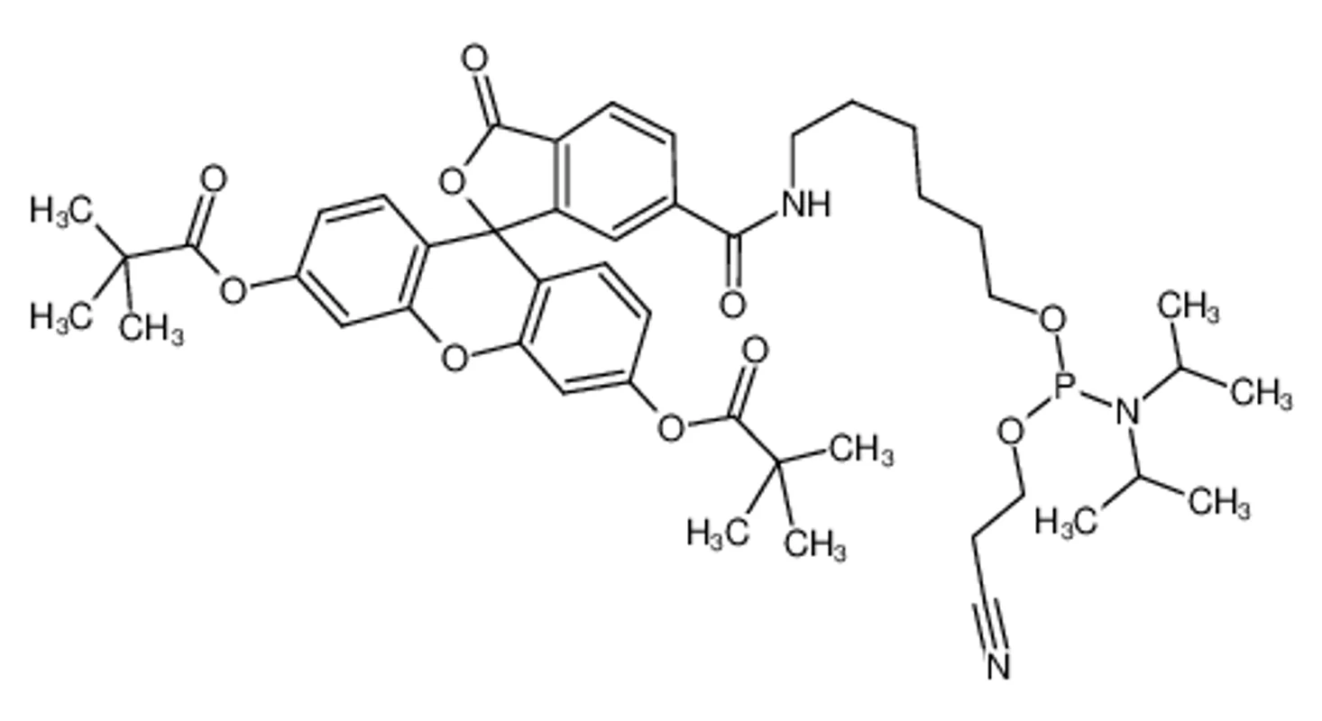 5'-荧光素亚磷酰胺