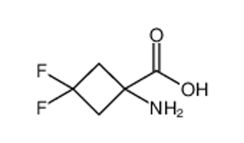 1-氨基-3，3-二氟环丁烷-1-羧酸