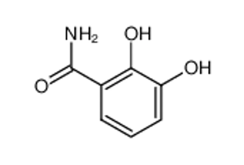 2,3-二羟基苯甲酰胺