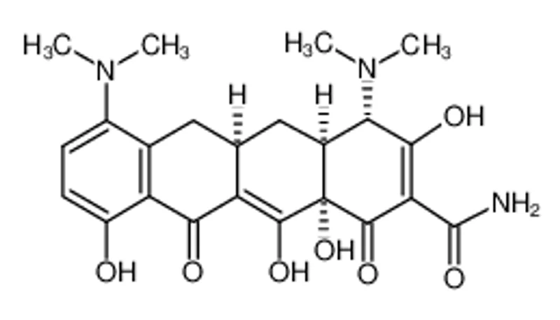 米诺环素