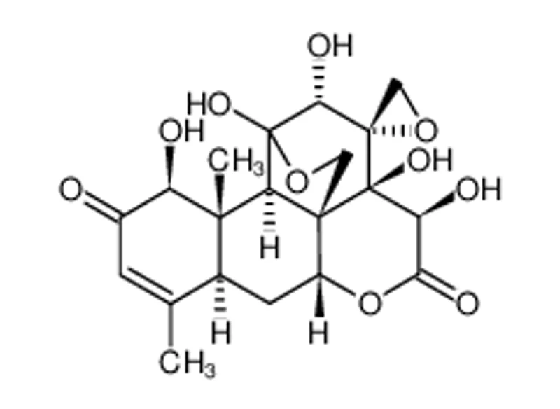 Pasakbumin B