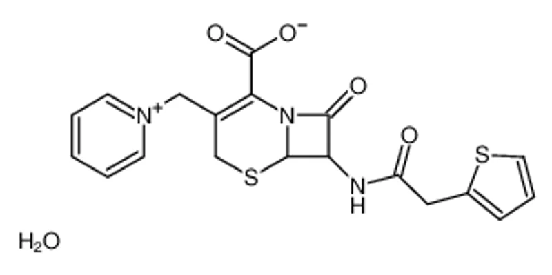 Cephaloridine hydrate