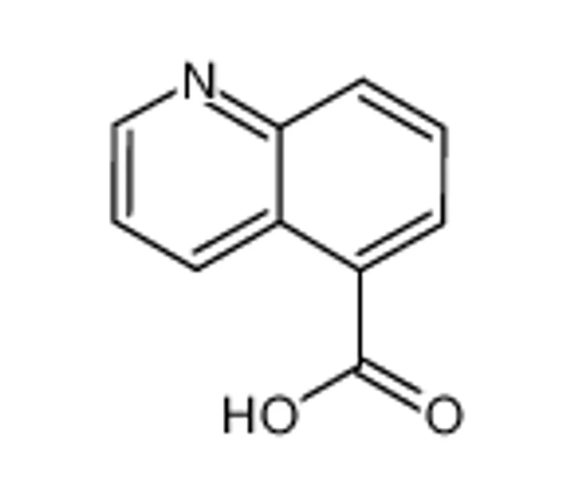 喹啉-5-羧酸